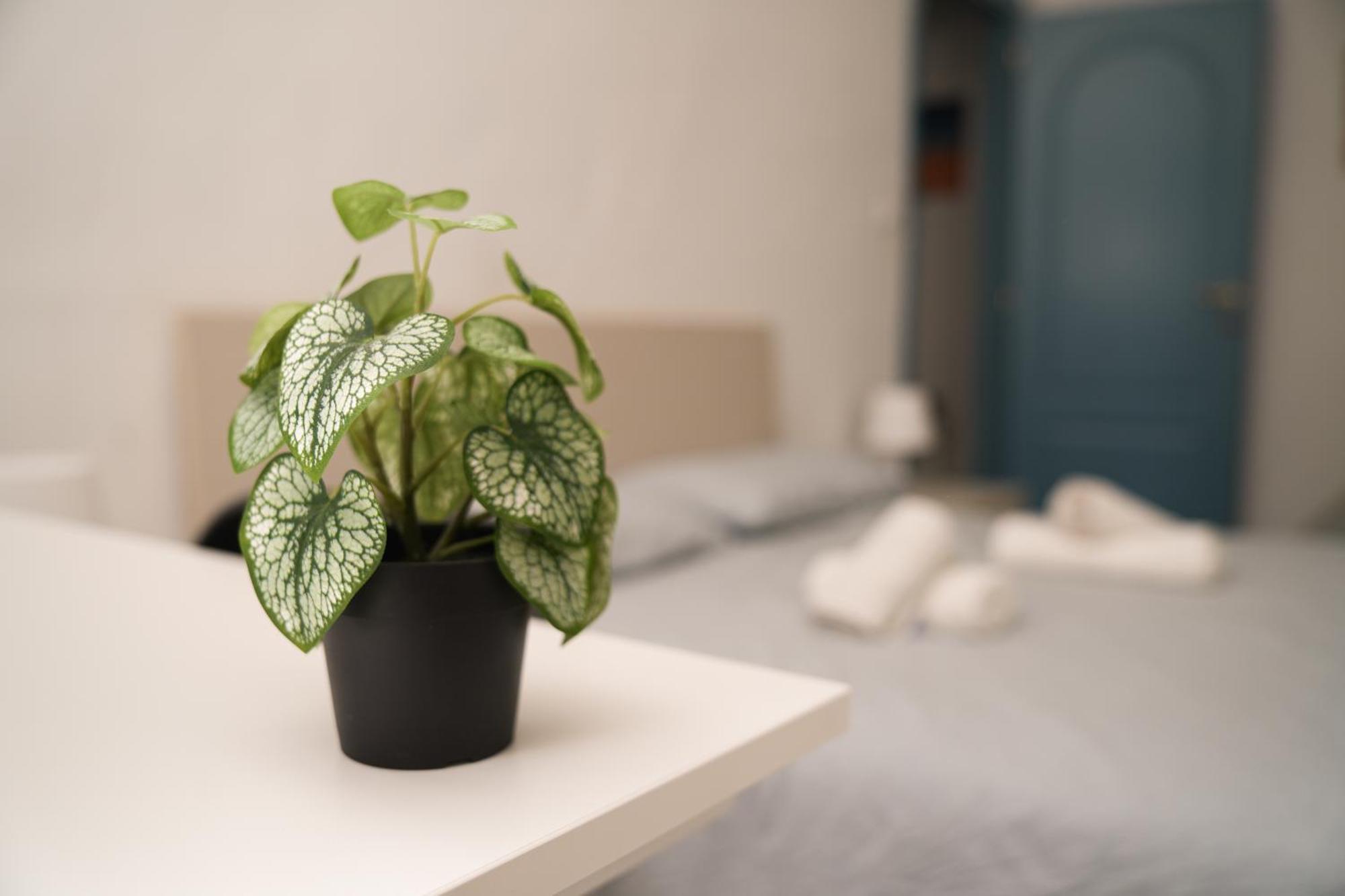 Camyhouse Apartment Turin Ngoại thất bức ảnh