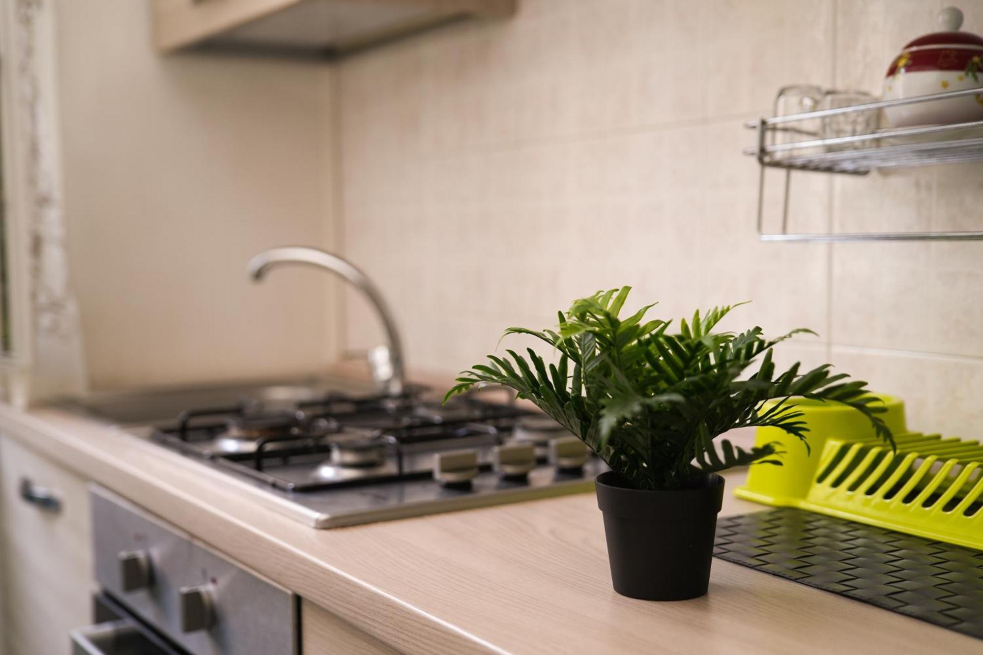 Camyhouse Apartment Turin Ngoại thất bức ảnh